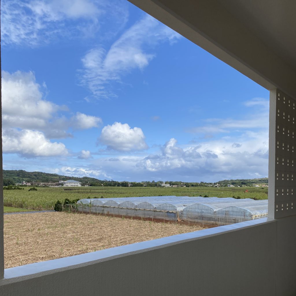 【那覇からいける離島】久米島観光2泊3日女ひとり旅🦐おすすめホテル、居酒屋もご紹介！